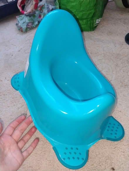 Photo of free Potty (billericay CM12) #2