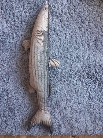 Photo of free draft excluder (RG6 near Palmer Park) #1