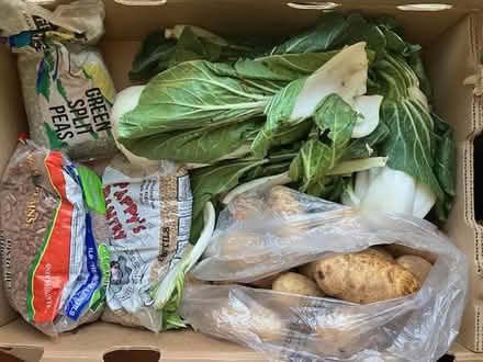 Photo of free bok choy mostly, lentils, potatoes (Las Palmas Pk, Snvle) #1