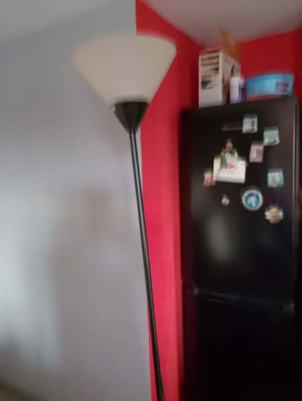 Photo of free Floor lamp (Seaside BN22) #4