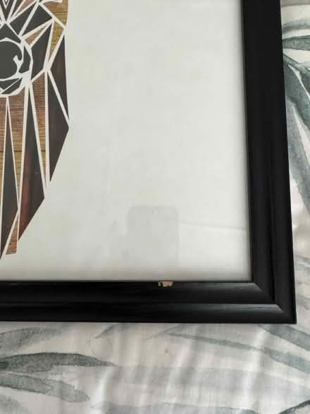 Photo of free Large Picture Frame (New Brighton) #2