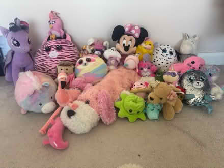 Photo of free Assorted collection of teddies (Maghull, L31) #1