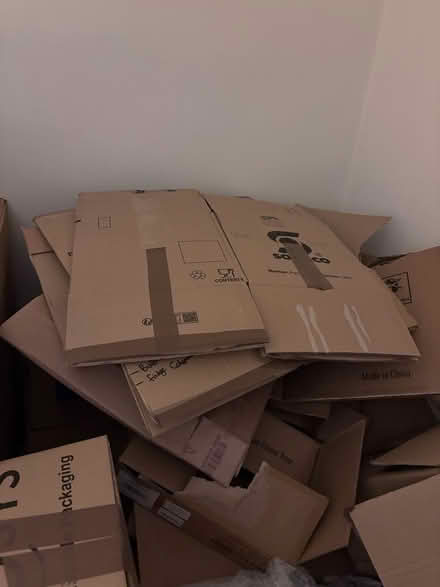 Photo of free Moving boxes — Loads of them (OX29 Leafield) #1