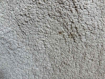 Photo of free Rug (Longthorpe PE3) #2