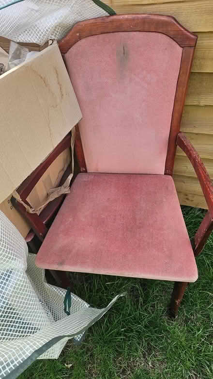 Photo of free 6 dining chairs (Ng9 3tj) #2