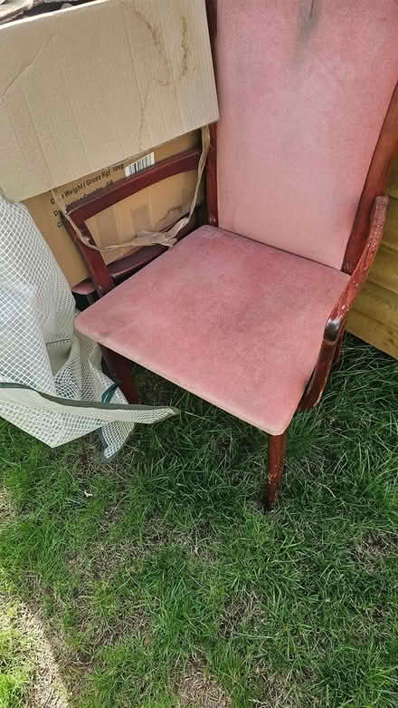 Photo of free 6 dining chairs (Ng9 3tj) #1