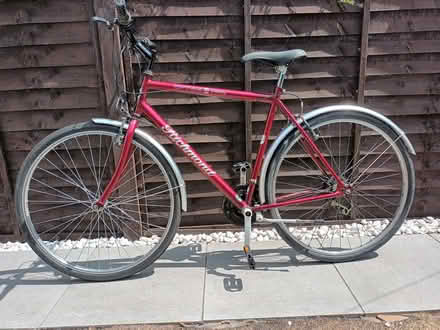 Photo of free 22" Bike Frame (Braintree CM7) #1