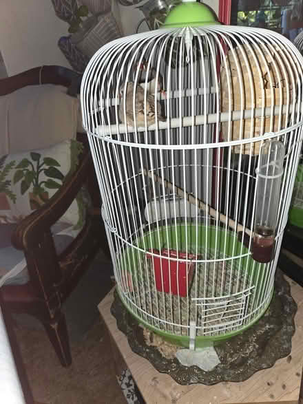 Photo of free Bird cage (Soundview) #1