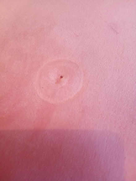 Photo of free Pale pink velvet cushion (Cowley Oxford OX4) #2