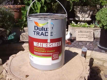 Photo of free 2 paints 1 sealer (Durrington BN13) #1