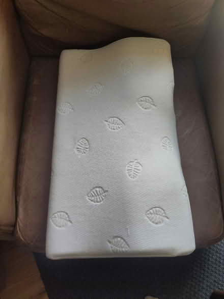 Photo of free Memory foam pillow (Bexhill old town, TN40) #1