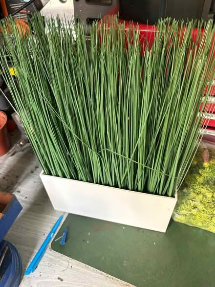 Photo of free fake grass and other fake greenery (Chickenley WF12) #4