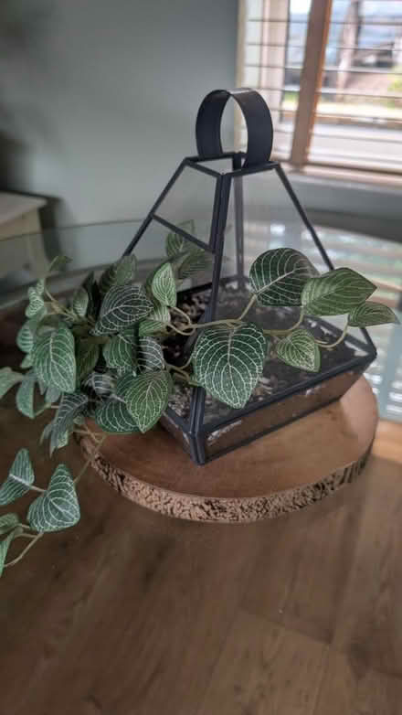 Photo of free geometric glass terrarium (Dronfield S18) #1