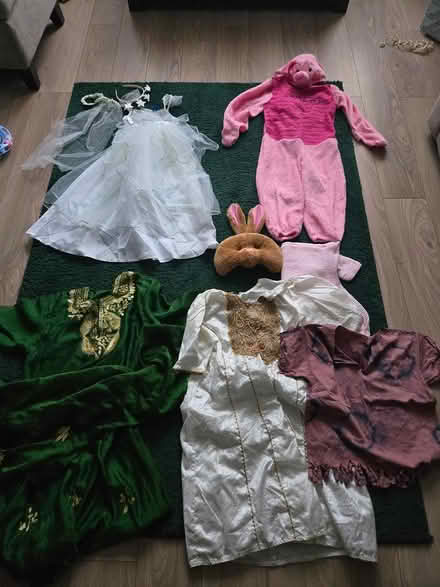 Photo of free Children's dress up outfits (Copnor PO2) #1