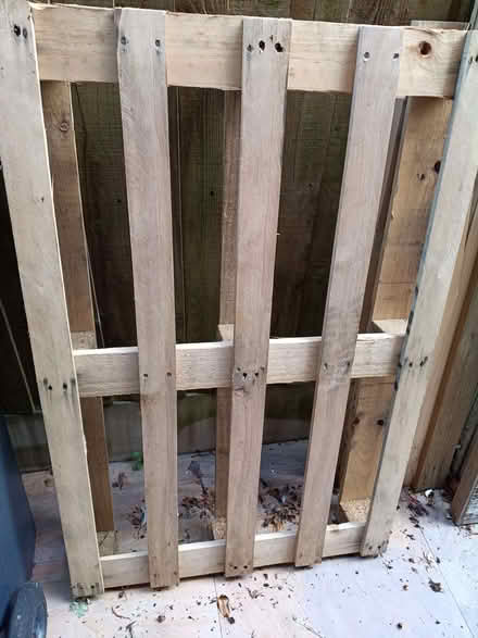 Photo of free Pallet (Hockley Heath B94) #1