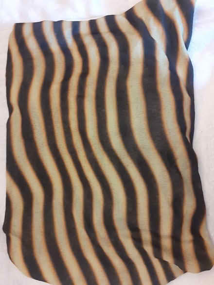 Photo of free Bee lightweight material (Birmingham City Centre B1) #1