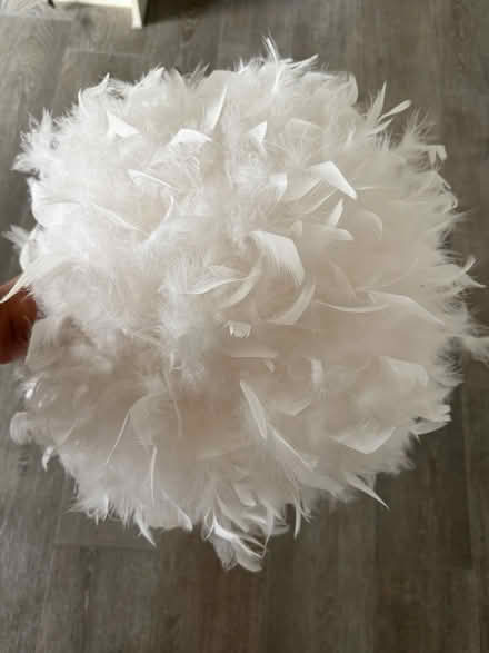Photo of free Feather Lamp Shade (West malling) #1