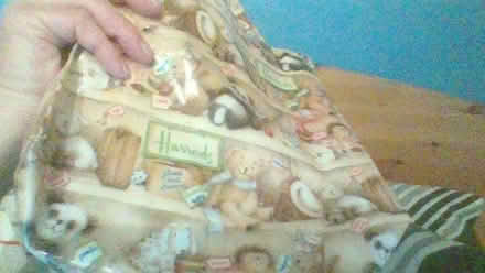 Photo of free Harrods bag small (Globe Town E2) #1