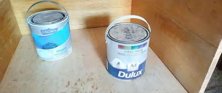 Photo of free Paint. (Catton NR6) #1