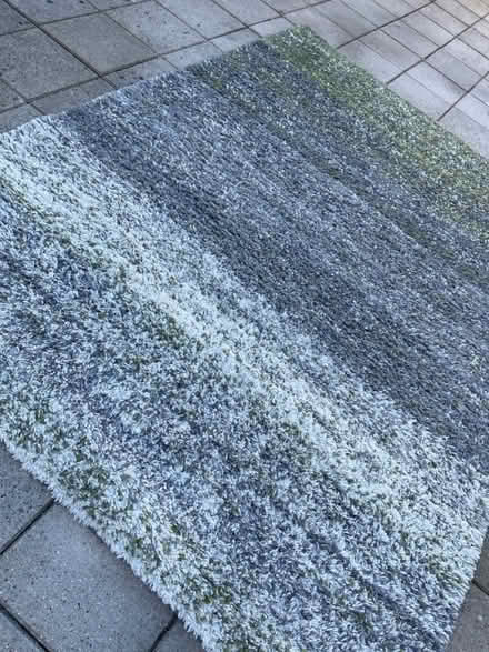 Photo of free LARGE Rug (Cosham PO6) #1