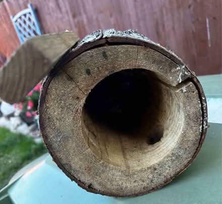 Photo of free Bird Nesting Box (Woodmancote GL7) #3