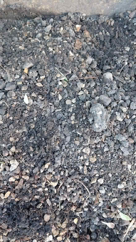 Photo of free Soil with gravel S12 (Sheffield S12) #1