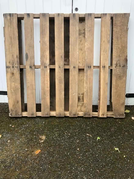 Photo of free Large pallet (Sedlescombe Street TN33) #1