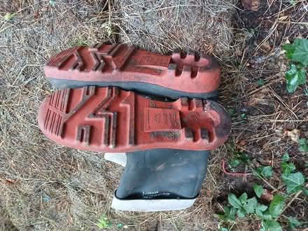 Photo of free Dunlop wellies (Blakenall WS3) #2