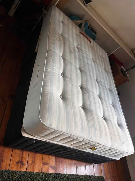 Photo of free Double bed (Guestling Green TN35) #2