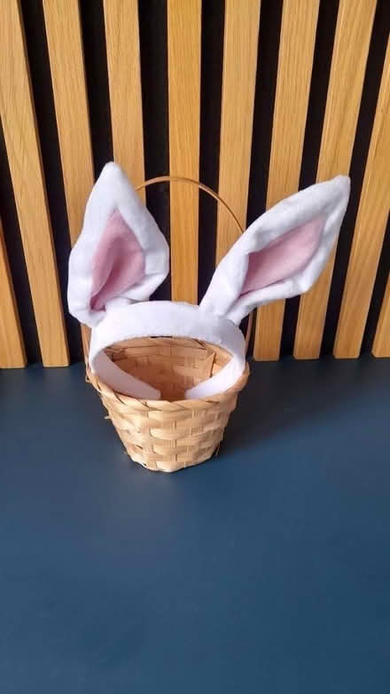 Photo of free Basket and rabbit ears headband (Longton PR4) #1