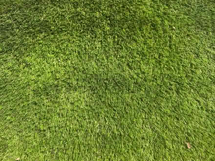 Photo of free Plastic Astro turf (Iford BH7) #3