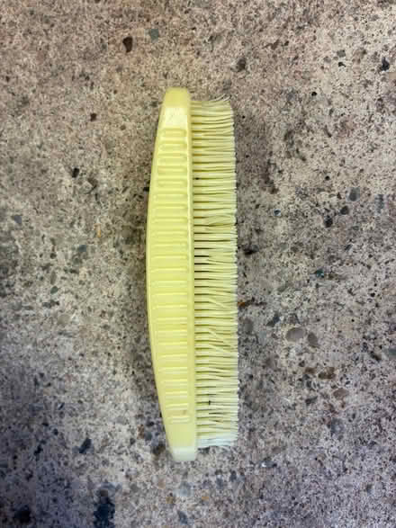 Photo of free Plastic scrubbing brush (Great Boughton CH3) #1
