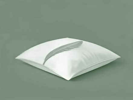 Photo of free 13.5 tog duvet. Feather and down (Laindon SS15) #1