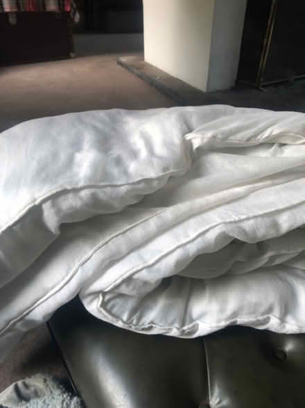 Photo of free Double duvet (Ware SG12) #1
