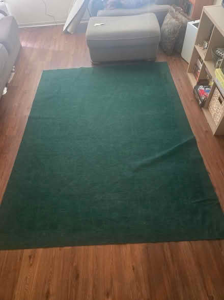 Photo of free Green Rug (South Richland) #2