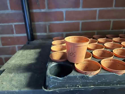 Photo of free Seedling tray with small flower pots (Fobbing SS17) #2