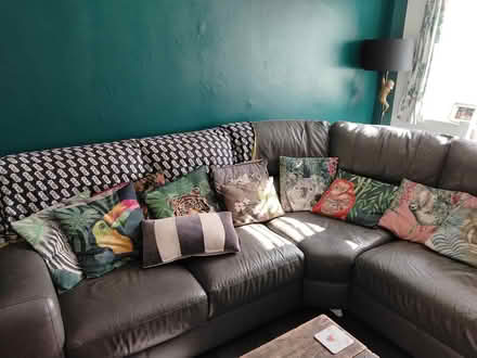 Photo of free Animal cushions (Mill road PO7) #1