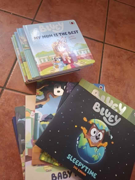 Photo of free Bluey books (Stanwell TW19) #1