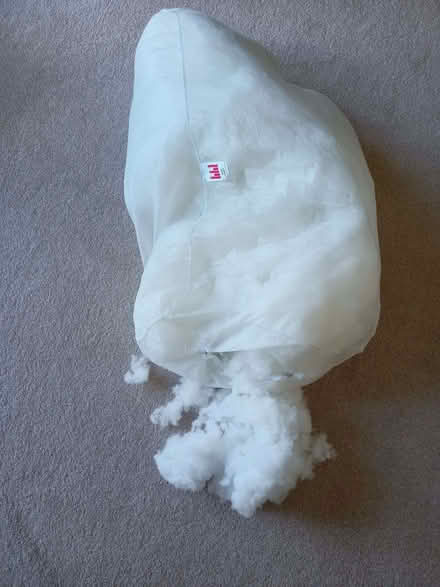 Photo of free Bag of stuffing for crafting (Wokingham RG40) #1