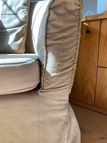Photo of free Large single armchair (BR7) #2