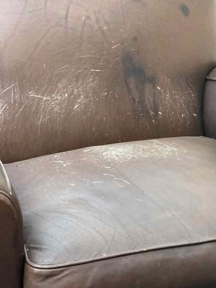 Photo of free Brown Club Chair (West Hollywood) #3