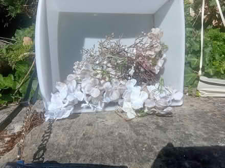 Photo of free Brand new Christmas decoration (Upper oldfield park) #3