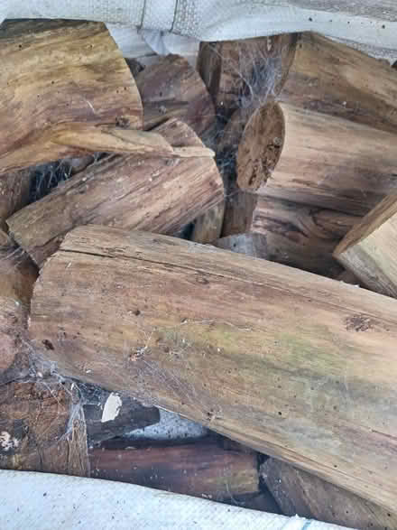Photo of free Wood for Log Burners (Cropston) #1