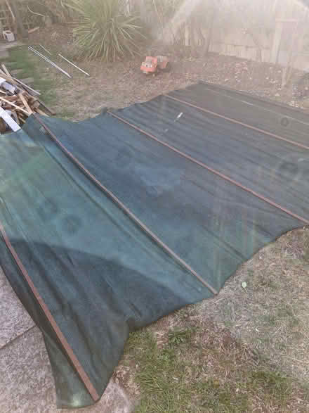 Photo of free Garden netting (Great Baddow CM2) #1