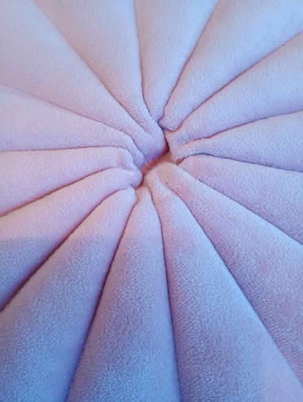 Photo of free Pale pink velvet cushion (Cowley Oxford OX4) #4