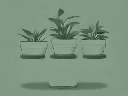 Photo of Old brocken plant pots (Downham BR1) #1