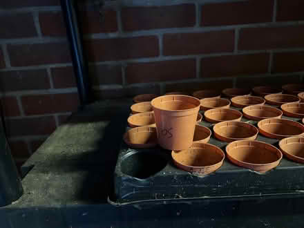 Photo of free Seedling tray with small flower pots (Fobbing SS17) #1