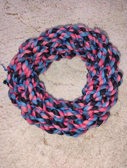 Photo of free Robust dog toy (billericay CM12) #1