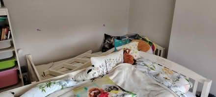 Photo of free Bunk bed / 2 single beds (Templeogue) #2