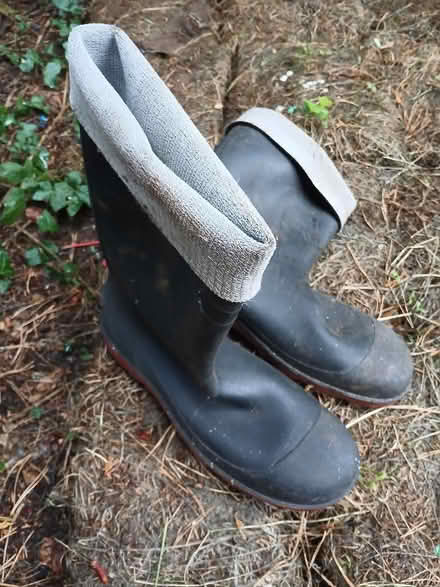 Photo of free Dunlop wellies (Blakenall WS3) #1